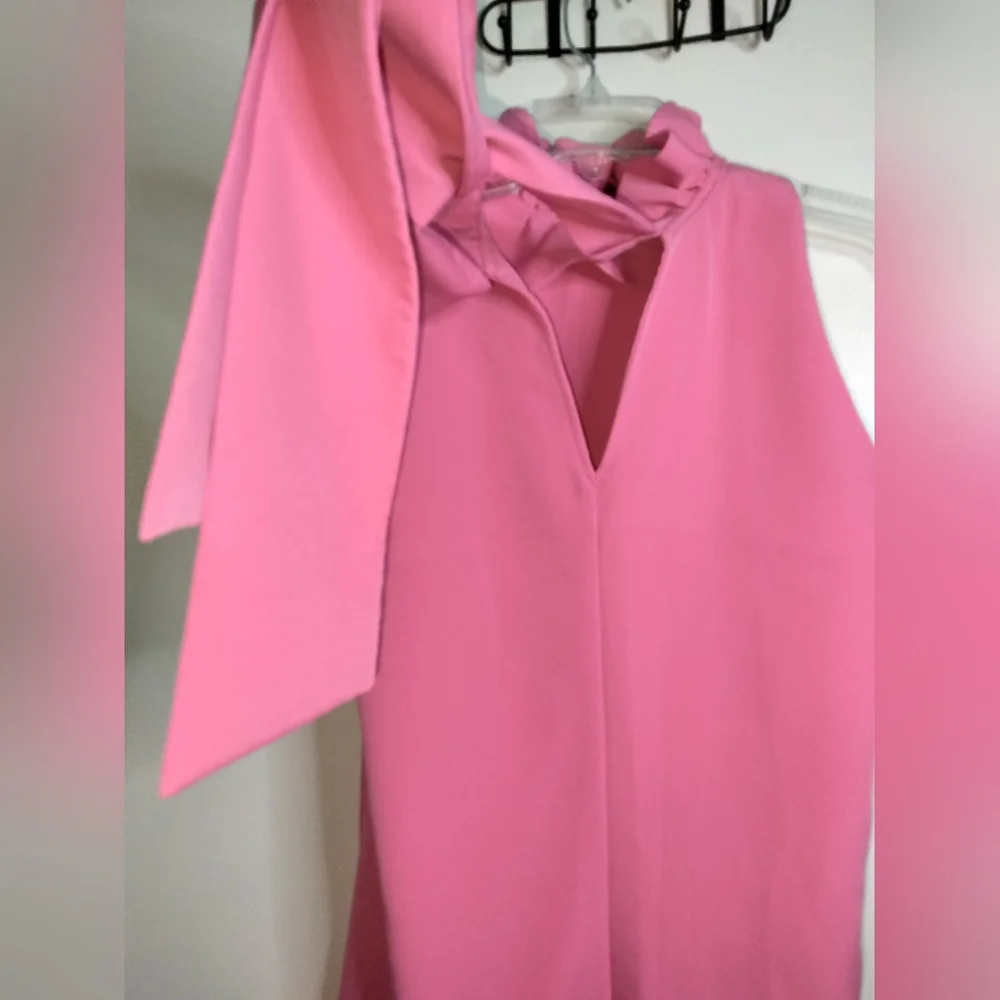 Tuckernuck (Sz M) Pink Ruffle Neck V-Back Tie Bow Sleeveless Shift Blythe Dress - Picture 5 of 10
